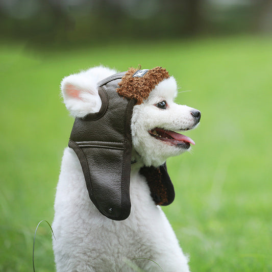 Autumn Winter PU Leather Dog Cap for Dogs in Brown and Black
