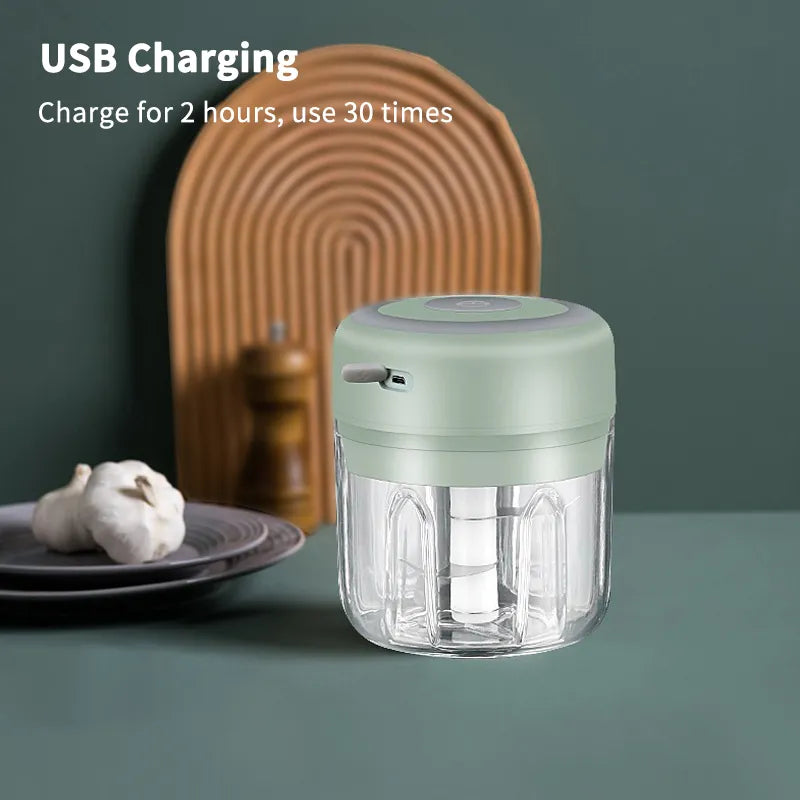 Mini Electric Meat Grinder and Garlic Crusher-3