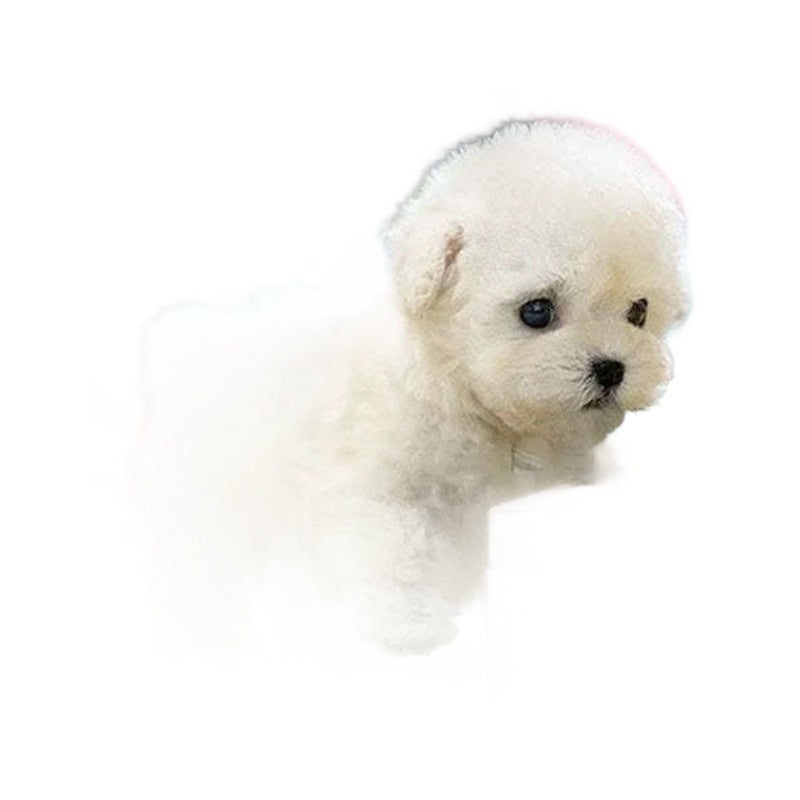 Robot Puppy Short Plush Doll Music Sound 16cm White Brown